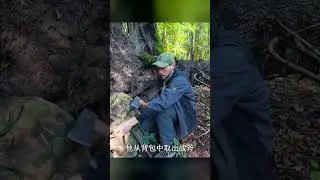 靠著云杉樹干造出這座極品庇護所！最美的野外小窩 #荒野 #生存 #建造 #户外 #助眠