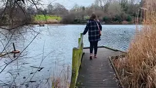 A Gentle Sunday Walk | Feeling Grounded Again 🌳