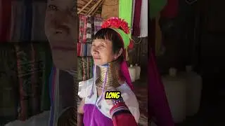 The Longest Neck in the World 🤯