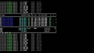Монета PEPE 2, майнер WildRig Multi разной версии 0.36.10 и 0.36.8