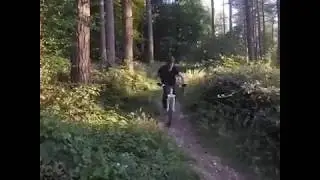Stoughton dh 2019