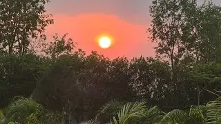 Driving in Nepal 🇳🇵 | Bharatpur Chitwan | Scenic Roads & Relaxing Travel Music 🎶 #nepalvlog #travel