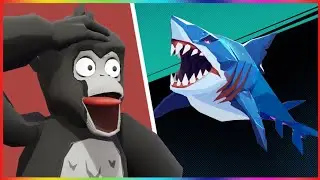 I played Shark go!