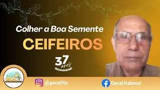 CEIFEIROS com Benedito Moreira - LIVE ON GECAL