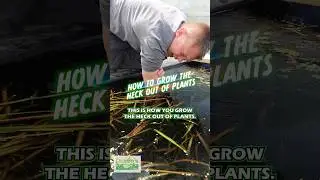 HOW TO GROW THE HECK OUT OF PLANTS 🌱