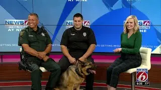 K9s United hosts 5K to raise money for police agency equipment