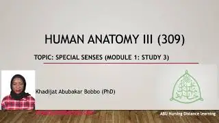 Anatomy of the Ear: How We Hear and Keep Balance