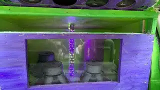 Basshead Family Bump! Audiopipe BDC Subwoofer Action