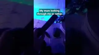 MUM CHECKING OUT GAMING PC SETUP