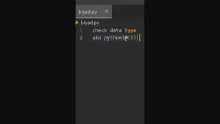 Check Data Type Python