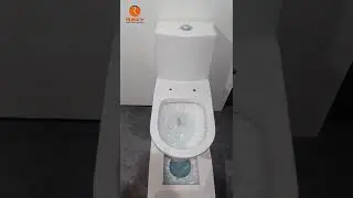 MODEL : NUCA ONE PIECE TOILET | TISSUE PAPER TESTING