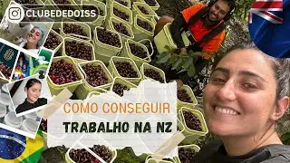 Como conseguir emprego na Nova Zelândia