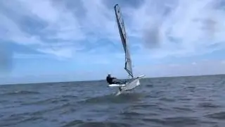 Bladerider Moth - Learning to Fly