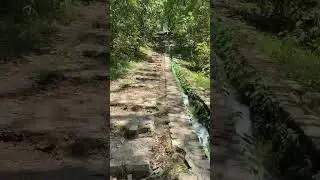 Nature ❤️🫶.                                        #ramnagar #waterfall