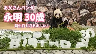 【ジャイアントパンダ「永明」30歳の誕生日を迎えました！】