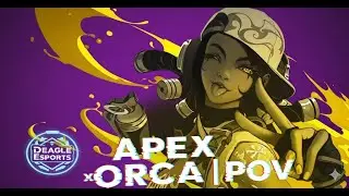 Valorant I Gold Lobby I [APEX POV]