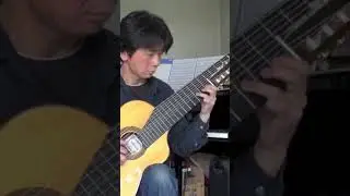 The eleven-string alto guitar. J.S.Bach BWV998
