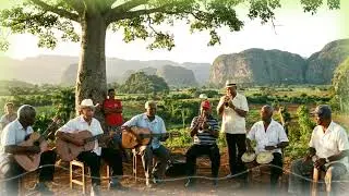 🎺Bajo la Palma Real - M&uacute;sica Cubana Tradicional ✨