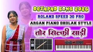 silky silky sadi tor nagpuri song//tor silky silky saree nagpuri song//tor silky silky sadi