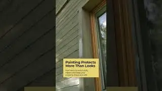 Enhance Property Value with Paint and Care