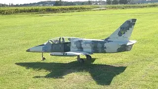 XXXL Albatros L39 at Airfield Illertissen
