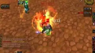 Warrior/Shaman Stuns Arenas