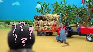 Monkey truck driver funny video 📷 #monkey @kidsbuddyz-d7d Please subscribe my channel 