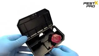 Pest X Pro Fang Pre-Baited Mouse Bait Station - Overview