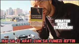 FUMAT IEFTIN SI BUN: Trabucuri SENATOR WHITE Injectate In Tuburi Goale