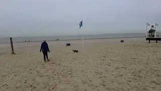 Ausflug nach Groede Niederlande