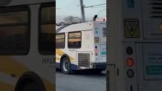 Oldest Kid on the block #automobile #halifax #halifaxtransit #newflyerd40lf #newflyerindustries