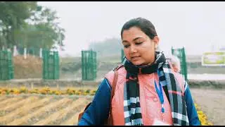 Mulching of vegetable crops with paddy straw.