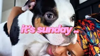 VLOG | SCHOOLWORK, KISSES WITH MY PITBULL, AND GETTING MY FEET DONE.