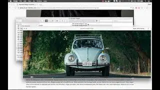 Article Connect &ndash;&nbsp;Widget Overview | Tutorial by MuseThemes.com