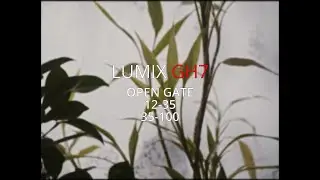 LUMIX GH7 cinematic OPEN GATE footage  with the Leica 12-35 and 35-100