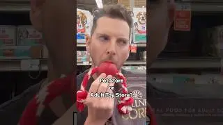 Pet toys? More like a starter kit for my new life as a leather bear. #kink #funny #pets #dog #cat