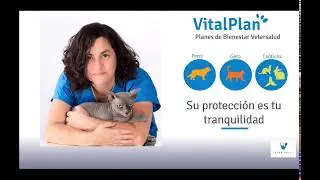 Haz que tu mascota viva m&aacute;s y mejor con nuestros planes Vitalpan