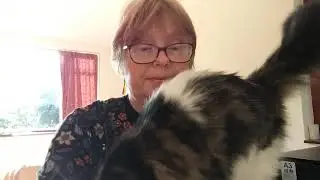 The struggle is real - vicarage cat protest during online service recording