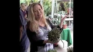 Succulent Shopping with Jeanne Meadow at the San Diego Cactus & Succulent Show
