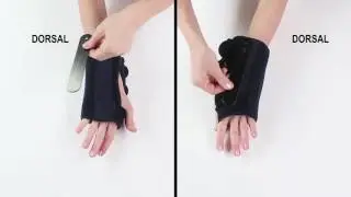 Pavis  |  Long Deluxe Cotton Brace
