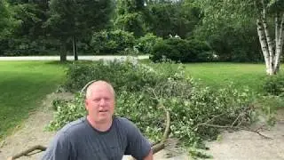 Trimming Trees and Bushes At the 