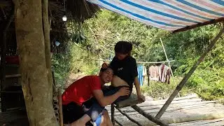 Phong goes to catch wild bees, life in the natural forest, daily life of Phong Ly and his wife