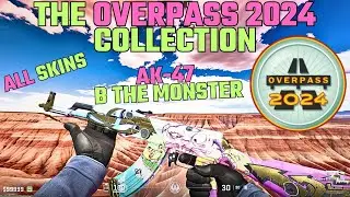 The Overpass 2024 Collection ( ALL SKINS CS 2 )