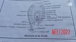 #neetguide #neet2022 #biology