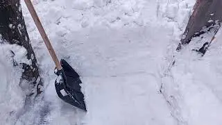 ЧЕТВЕРГ. | ⟨19.02.2026⟩ | 16:48