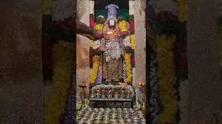Tirumala venkateshwara swamy#venkateswara suprabatam#shree venkateshwara mangalashasanam#srivariseva