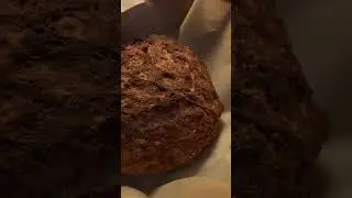 Made an over baked loaf of rustic oatmeal bread for Christmas (oops!)