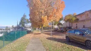 Walking around VANCOUVER City Canada. East Van. Between Victoria Drive & Knight Street - E22 to E18.