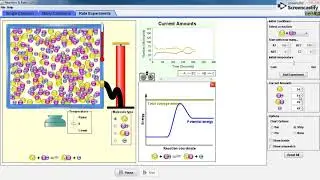 Using PhET Rate of reaction simulation