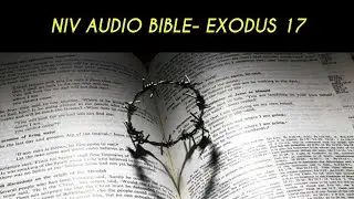 EXODUS 17 NIV AUDIO BIBLE (with text)